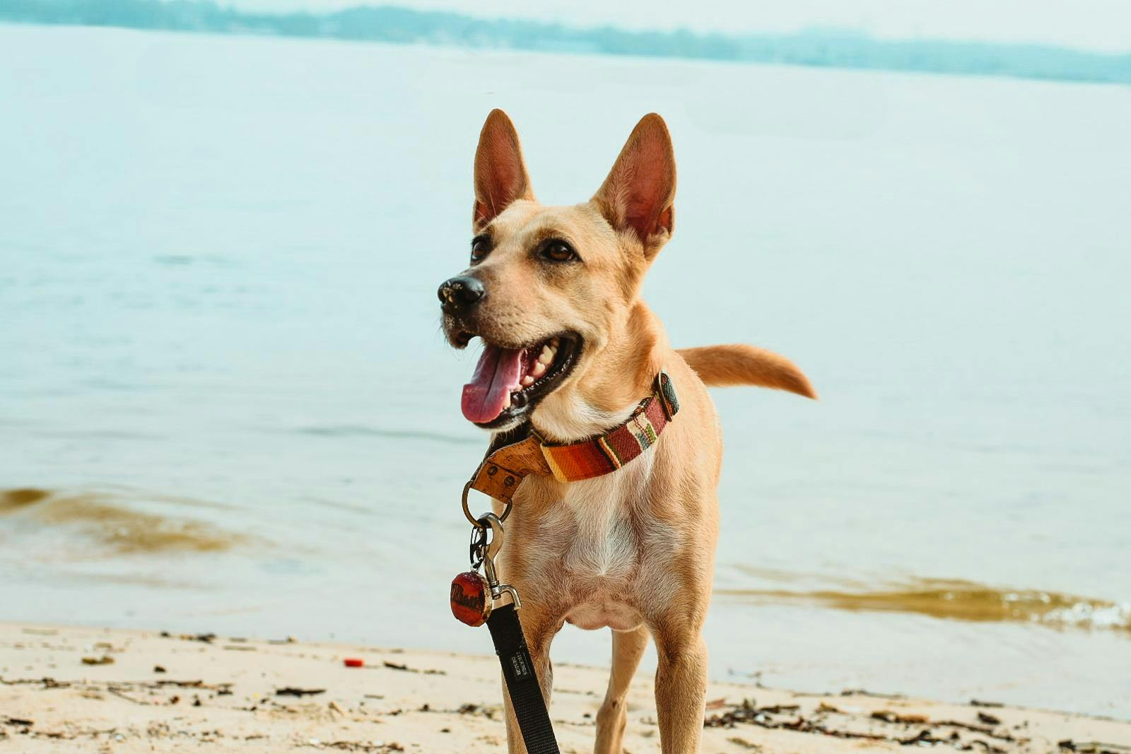 Keeping beach outings fun and safe