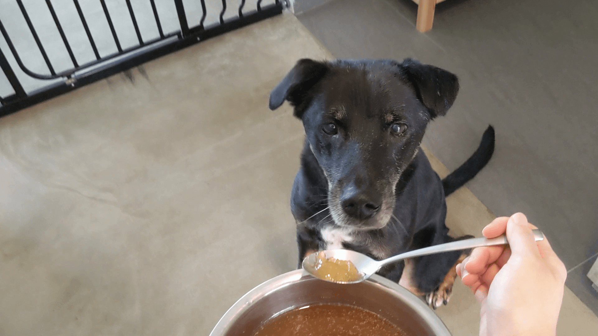 How to make Bone Broth using pressure cooker