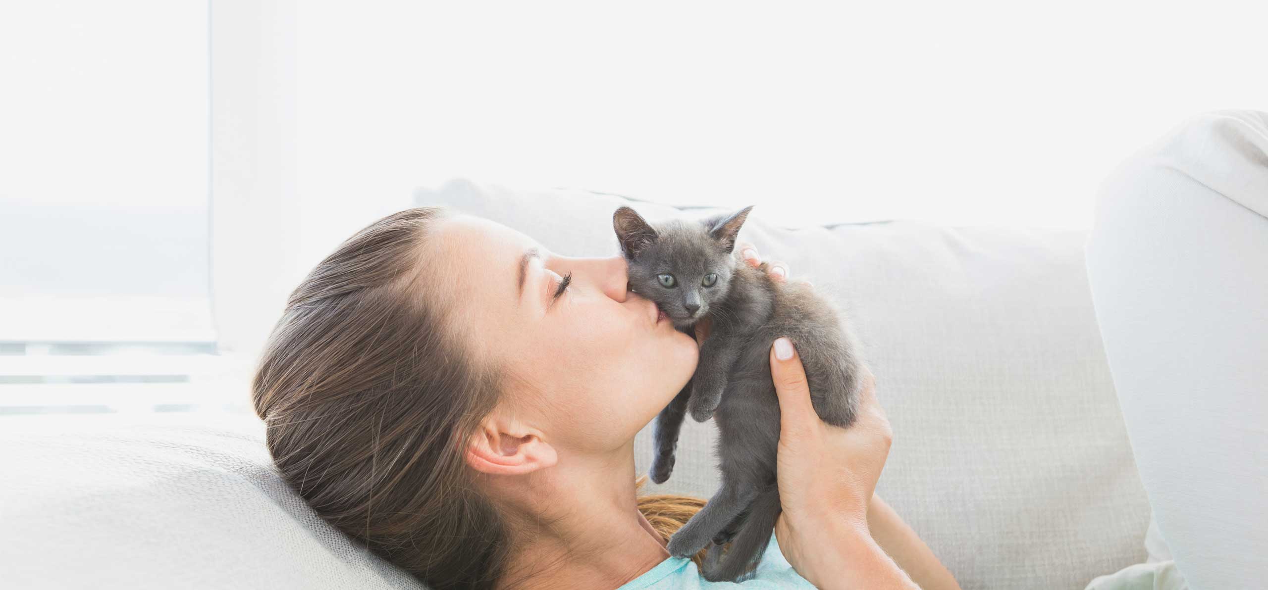 Kitten Care: Must-Know Tips for Raising Kittens