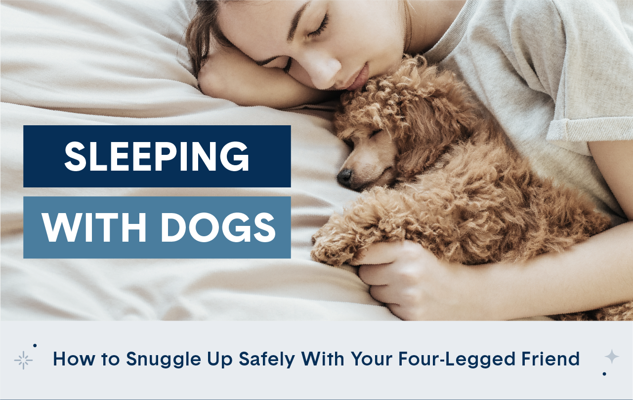 How to Safely Sleep with Your Dog