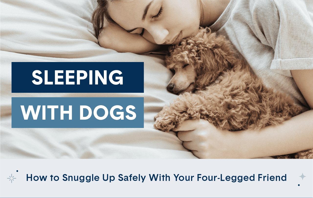 How to Safely Sleep with Your Dog