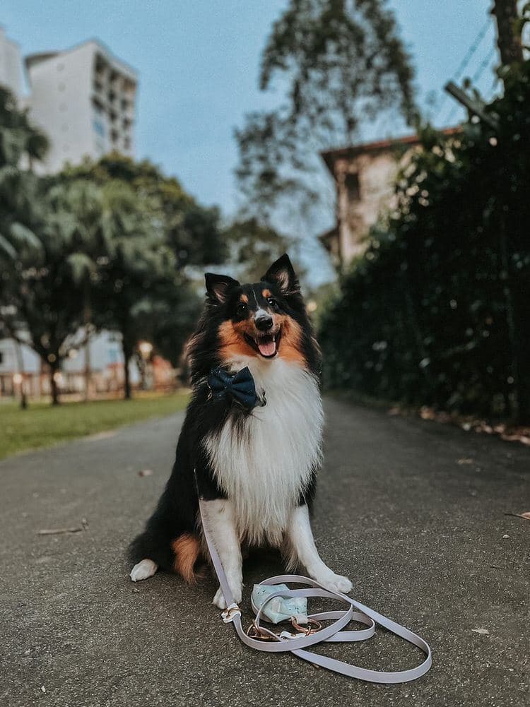 5 tips to up your Instagram game!