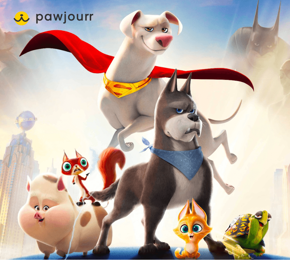 Memorable campaigns only at Pawjourr!