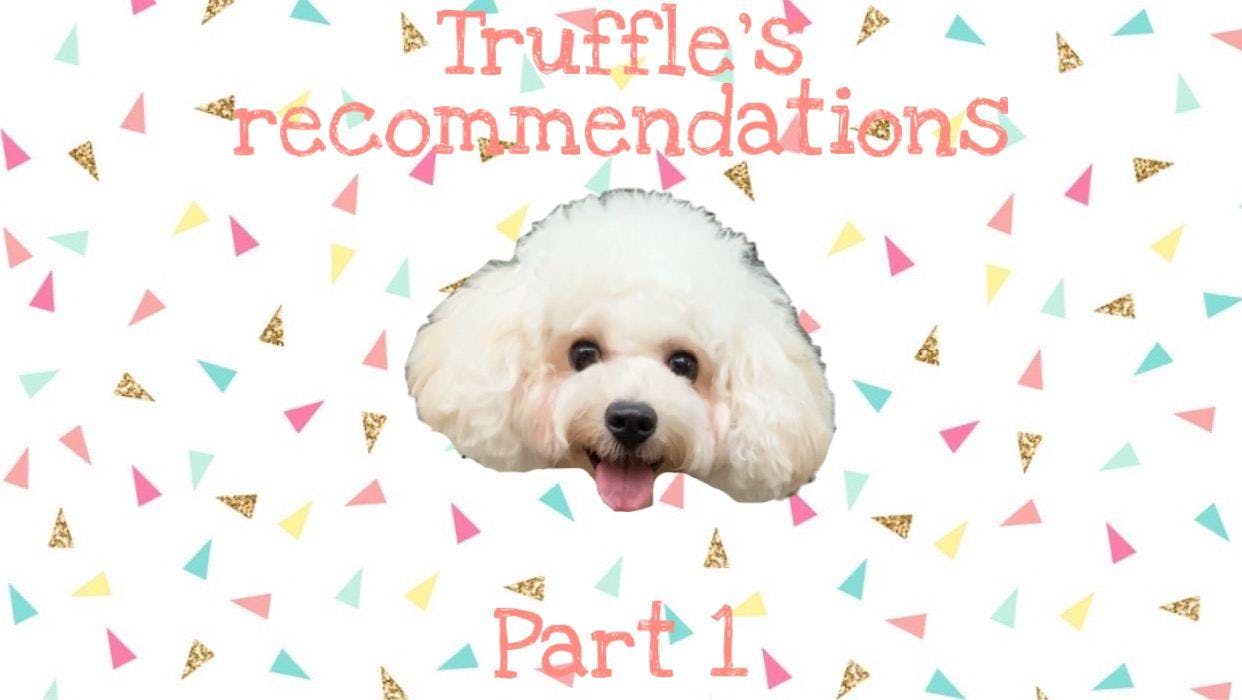 Cheap and good deals on Truffle’s recommendations! Part 1