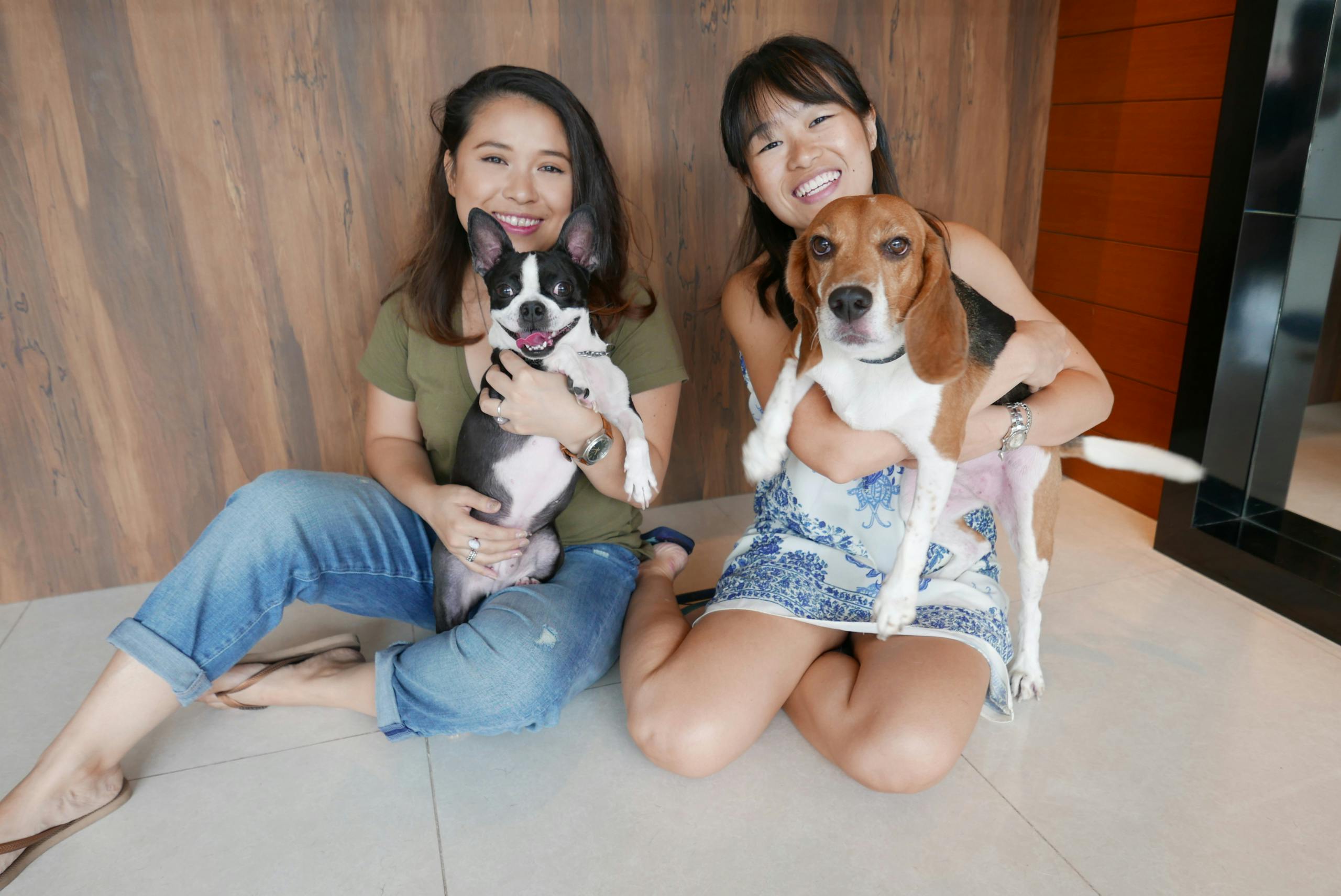 Meet The Grateful Dog: A company dedicated to fresh meals for all pups