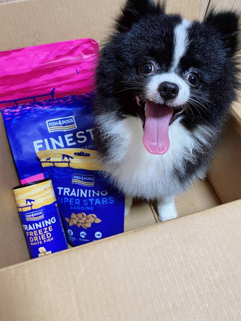 Reviewing Fish4Dogs – Yummy, Fuss-Free and Full of Protein Dog Treats