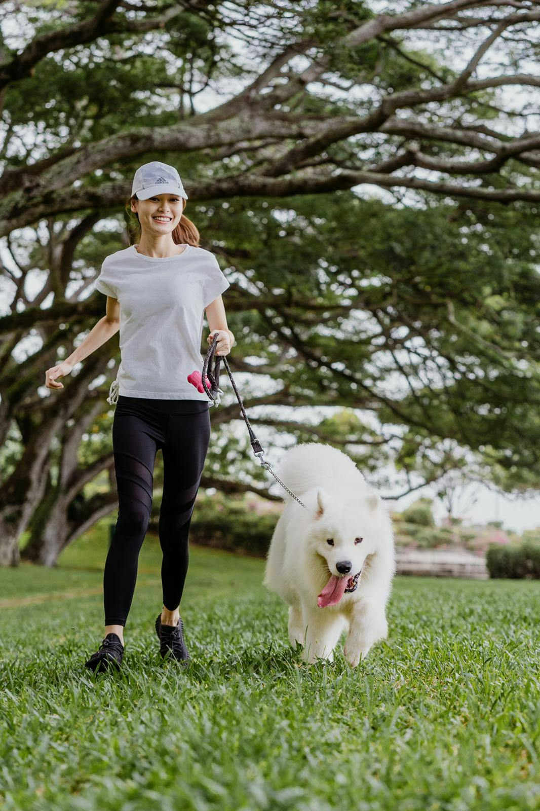 You can now raise money for charities by dog walking!