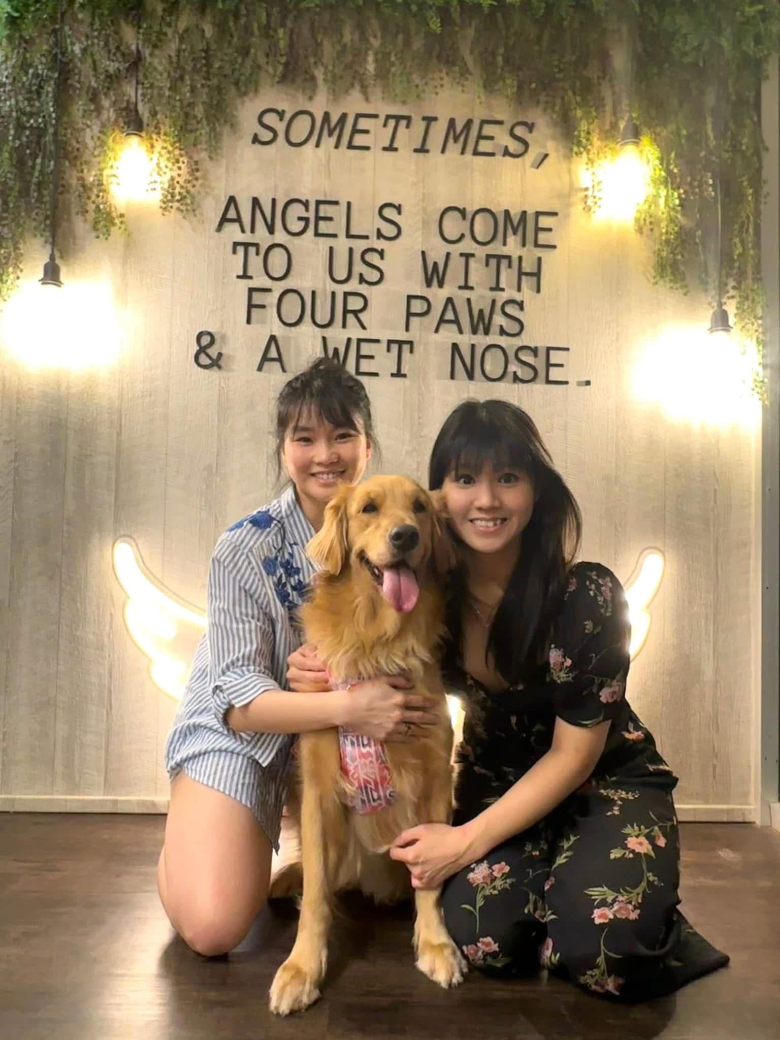 Aon’s HappyTails: @lexyethegolden